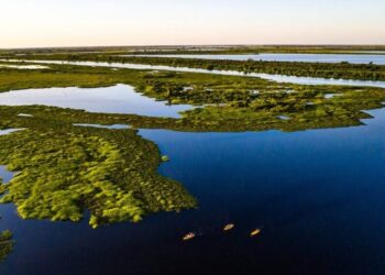 Dia Mundial do Meio Ambiente: projetos no Senado reforçam agenda climática