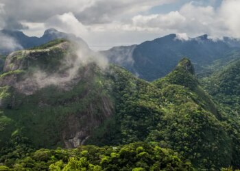 Dois caçadores são presos em flagrante no Parque Nacional da Tijuca