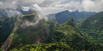 Dois caçadores são presos em flagrante no Parque Nacional da Tijuca