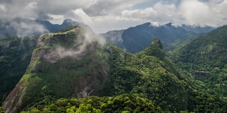 Dois caçadores são presos em flagrante no Parque Nacional da Tijuca