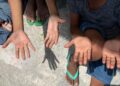 Entidades lançam campanha de combate ao trabalho infantil