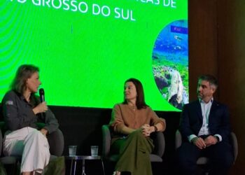 Especialistas e gestores se reunirem para debater mudanças climáticas e fortalecer políticas ambientais em MS