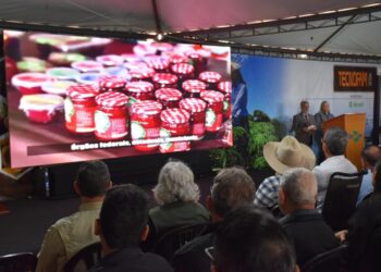 Governo de MS destaca força da agricultura familiar no desenvolvimento regional e na segurança alimentar