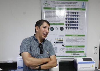 Investimentos em pesquisa ajudam a elevar produtividade e competitividade do agro de Mato Grosso do Sul