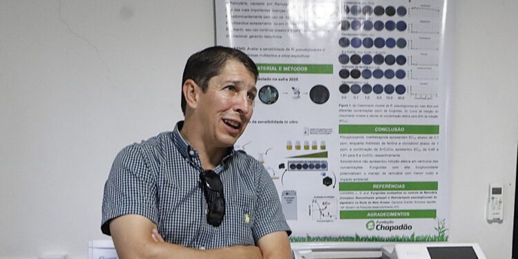 Investimentos em pesquisa ajudam a elevar produtividade e competitividade do agro de Mato Grosso do Sul