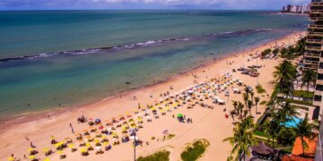 Jovem de 19 anos é atacada por tubarão na Praia de Boa Viagem