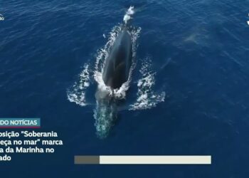 Mostra 'Soberania começa no mar' fica aberta até 12 de junho no Senado