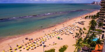 Pernambuco volta a monitorar tubarões na orla após 10 anos