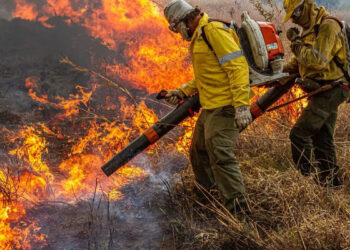 Governo libera R$ 337 milhões para ações ambientais de combate a incêndios