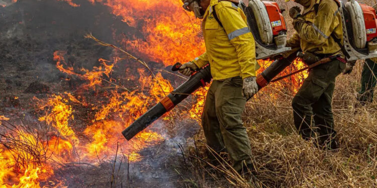 Governo libera R$ 337 milhões para ações ambientais de combate a incêndios