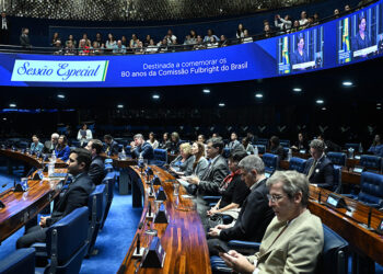 Parlamentares e convidados acompanham a sessão.