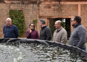 Assentamento em Ponta Porã vira laboratório de inovação rural