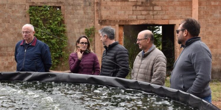 Assentamento em Ponta Porã vira laboratório de inovação rural