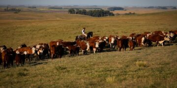 União Europeia restringe importação de carnes, peixe e mel do Brasil