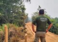 União deve apresentar plano de desintrusão em terras do povo Arara