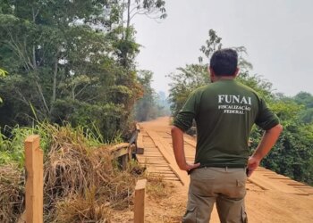 União deve apresentar plano de desintrusão em terras do povo Arara