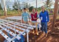 Agricultores de MS colhem resultados com inovação