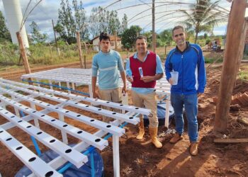 Agricultores de MS colhem resultados com inovação