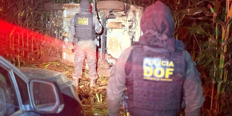 Na fuga, traficante capota veículo carregado com maconha em milharal