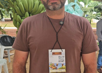 o professor que plantou banana para dar errado e virou vitrine da agricultura familiar – Agência de Noticias do Governo de Mato Grosso do Sul