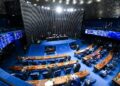 Senado vota MP de R$ 266,5 milhões para cidades atingidas por enchentes em Minas