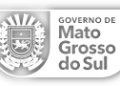 investimento de R$ 176 milhões vai direto para municípios na maior entrega da segurança de MS – Agência de Noticias do Governo de Mato Grosso do Sul