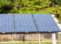 5º leilão do Eco Invest atrai quase R$ 50 bi para investimentos verdes