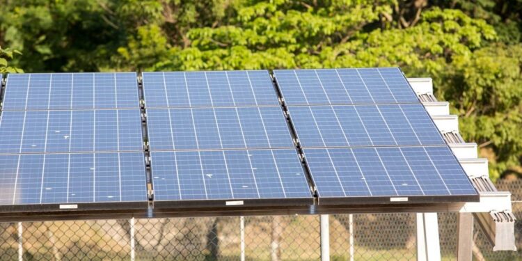 5º leilão do Eco Invest atrai quase R$ 50 bi para investimentos verdes