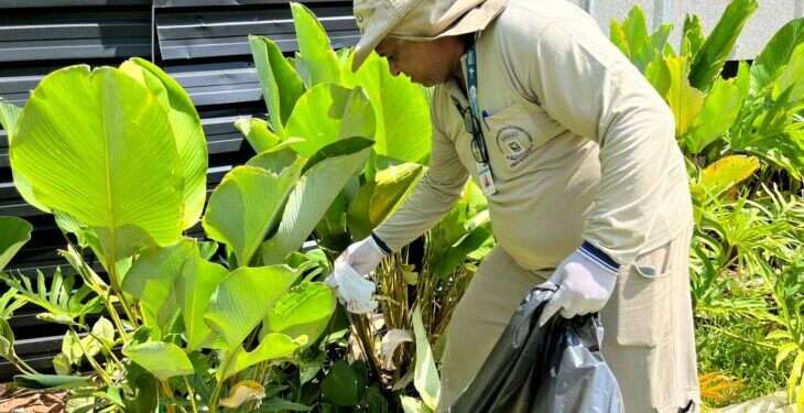Mato Grosso do Sul soma mais de 10,6 mil casos de chikungunya em 2026