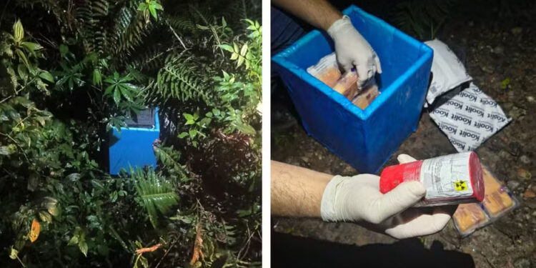 Carga radioativa roubada é achada jogada em terreno de SP