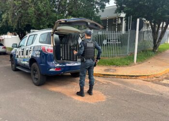 Três homens se metem em confusão com a Justiça por violência doméstica