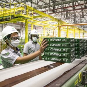 Agro ficou gigante, diverso e agora distribui emprego e renda aos sul-mato-grossenses