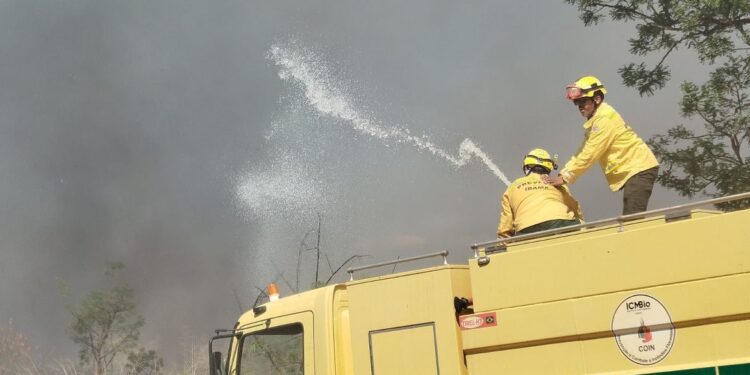 Bombeiros controlam incêndio em área de mata na UnB
