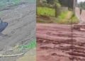 Caminhão da Solurb não consegue subir rua e coleta de lixo é feita a pé no Bosque das Araras (vídeo)