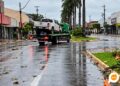 Caminhonete derruba palmeira no canteiro central e atinge poste