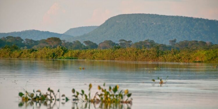 Cerrado brasileiro perdeu 13,9 milhões de hectares de margens de rios