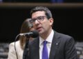 Comissão aprova projeto que proíbe penas e plumas de animais em fantasias