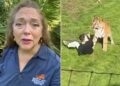 Defensora dos direitos de felinos pede que tigre que matou jovem em zoo não seja sacrificado: 'Não fez nada errado'