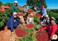 Encontro reuniu cerca de 260 agricultoras em Mirador para debater direitos trabalhistas, previdência e geração de renda no campo.
