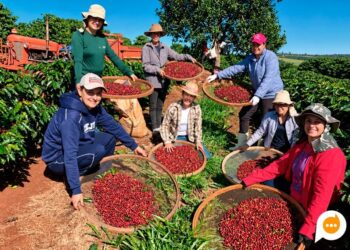 Encontro reuniu cerca de 260 agricultoras em Mirador para debater direitos trabalhistas, previdência e geração de renda no campo.