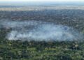 Estudo aponta atividade humana nas emissões de carbono na Amazônia