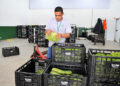 Excedentes de mercados podem alimentar famílias vulneráveis, prevê projeto