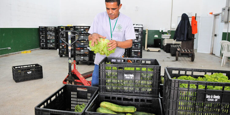 Excedentes de mercados podem alimentar famílias vulneráveis, prevê projeto