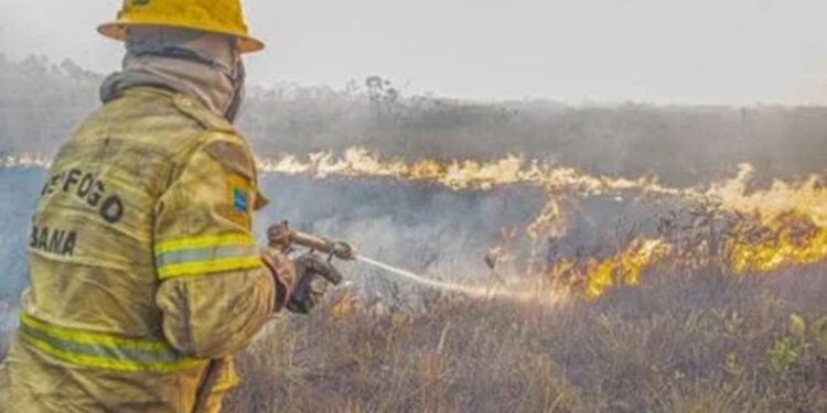 Governo investiga se há organização por trás dos incêndios no Amazonas