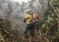 Incêdios no Amazonas resultam de ação humana intencional, diz ministro