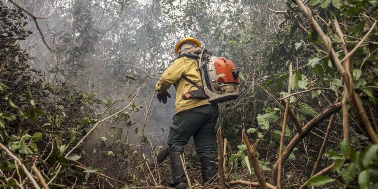 Incêdios no Amazonas resultam de ação humana intencional, diz ministro