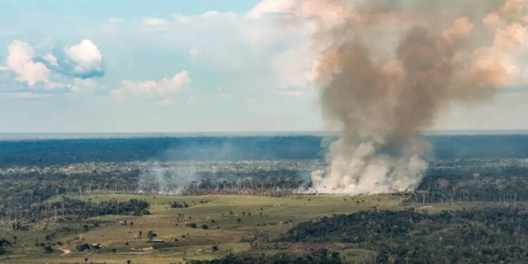 Incêndios avançam sobre o oeste do Pará e deixam ar insalubre