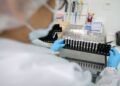 Malária: Anvisa autoriza teste em humanos de vacina 100% brasileira