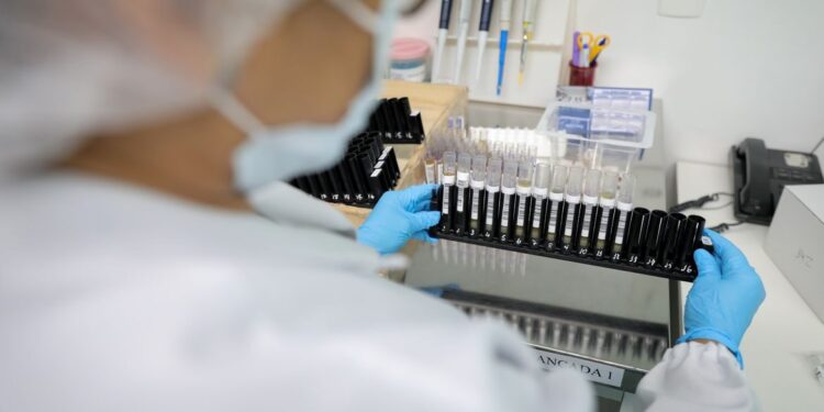 Malária: Anvisa autoriza teste em humanos de vacina 100% brasileira