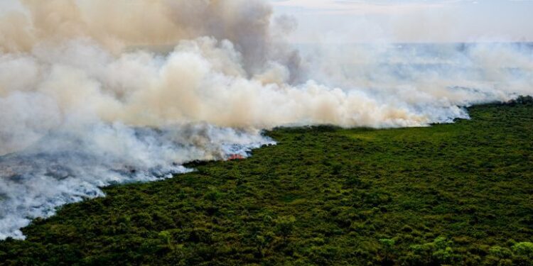 Medida provisória abre crédito extra de R$ 300 milhões para combate a incêndios na Amazônia